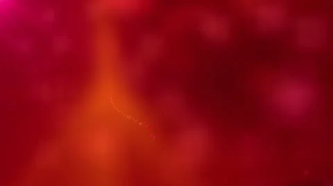 Valentine's Day Stock Footage 20490849