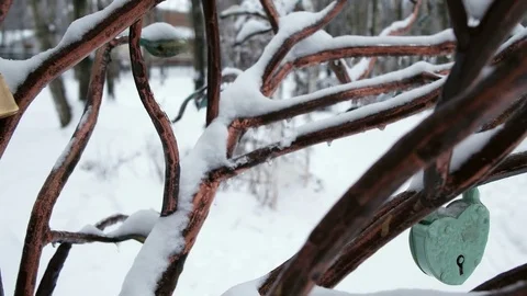 Valentine's Day Video stock 69802753