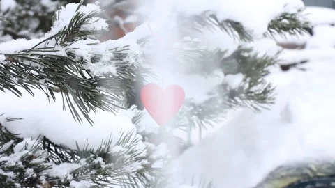 Valentine's day Stock Footage 168314709