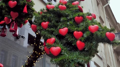 Valentines Day Stock Footage 300901275
