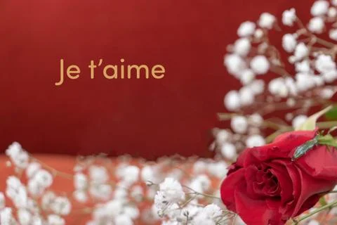 Valentine's Day graphic resource with a declaration of love "Je t'aime is I love Stock Photos