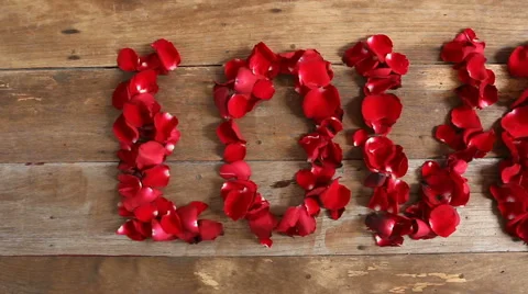 Valentine's Day, HD Footage Dolly of red rose petals in love word Stock Footage 59556491
