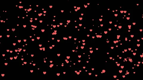 Valentine's Day or wedding background is a random of coral pink hearts on a blac Stock Footage 99878713