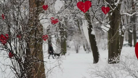Valentines day in the park Stock Footage 124258024