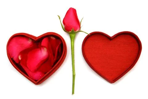 Valentines day Stock Photos