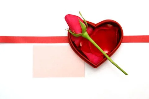 Valentines day Stock Photos