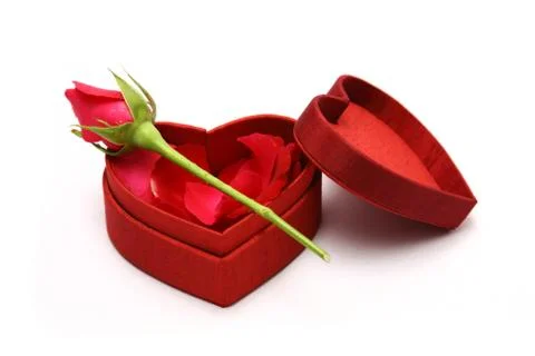 Valentines day Stock Photos