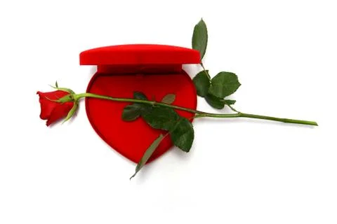 Valentines day Stock Photos