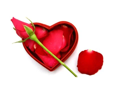 Valentines day Stock Photos