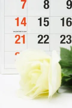 Valentine's day; Stock Photos