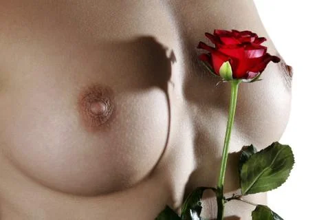 Valentine's Day Stock Photos