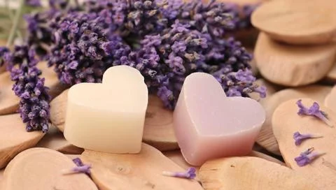 On Valentine's day. Stock Photos