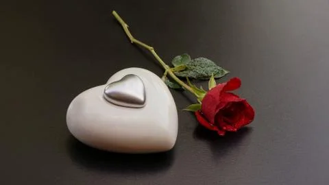 On Valentine's day. 库存照片