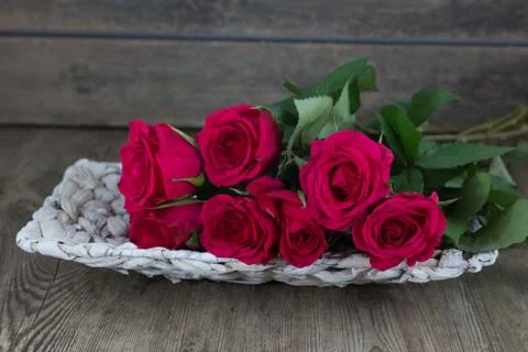 Valentine's day Stock Photos