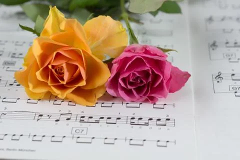 Valentine's day Foto stock