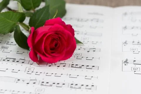 Valentine's day Stock Photos