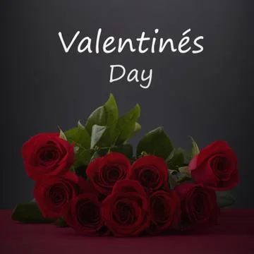 Valentines day Stock Photos