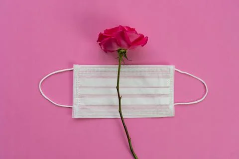 Valentine's Day Stock Photos