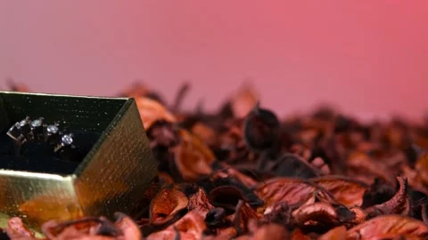 Valentine's day text space Stock Footage 169887580