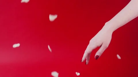  Valentine's Day. Time to reverse. Stock Footage 88450106