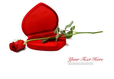 Valentines Stock Photos