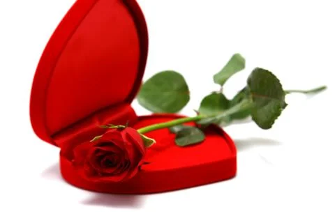 Valentines Stock Photos