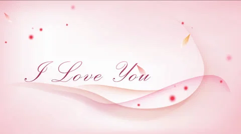 Valentines &amp; wedding Stock Footage 24675908