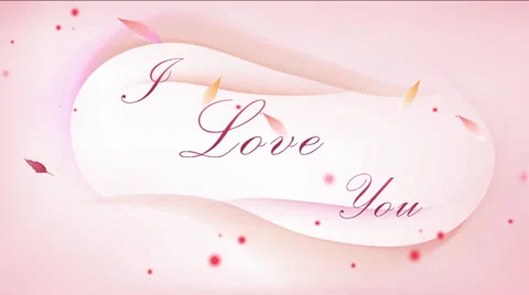 Valentines &amp; wedding Stock Footage 24676440