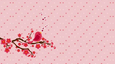 Valentines &amp; wedding Stock Footage 27761382