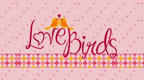 Valentines &amp; wedding Stock Footage 27761889