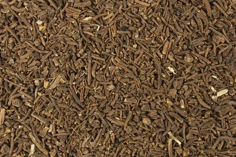 Valerian herb root background. Macro photo. Close up. Shallow depth of field. Photos