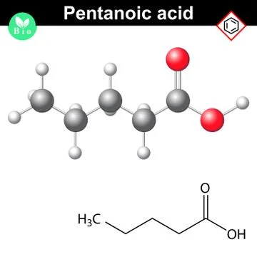 Valeric acid molecular model and chemical structure Stock Illustration