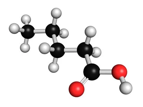 Valeric acid molecule Illustrazione stock