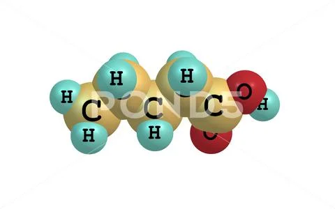 Valeric acid molecule isolated on white Illustration #160953036