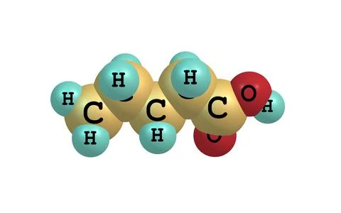 Valeric acid molecule isolated on white Stock Illustration