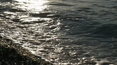 Valerii Kadnikov Stock Footage 164674886