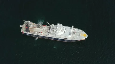 Valerii Kadnikov Stock Footage 165370887