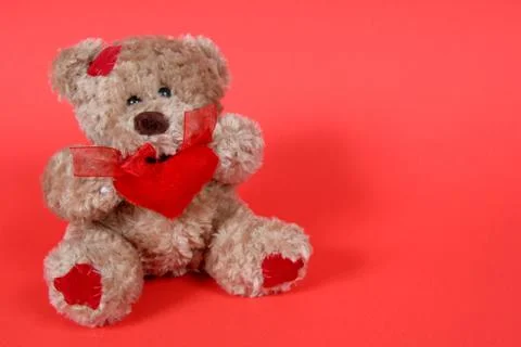 Valetines teddy bear on red background Stock Photos