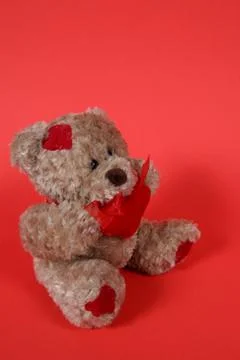 Valetines teddy bear on red Stock Photos