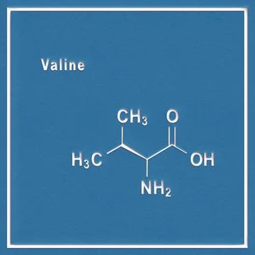 Valine (l-valine, Val, V) amino acid, chemical structure Valine (l-valine,... Stock Photos