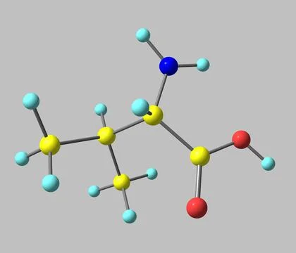 Valine molecule isolated on grey Stock Illustration