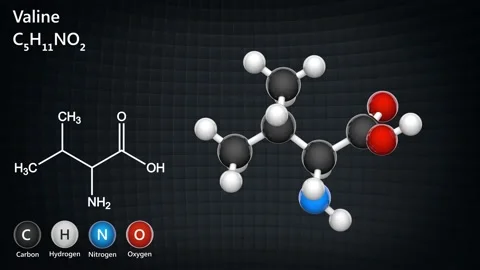 Valine. Seamless loop. Stock Footage 152765300