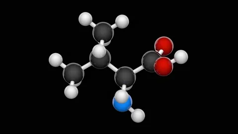 Valine. Seamless loop. RGB + Alpha (Transparent) channel Stock Footage 152765302