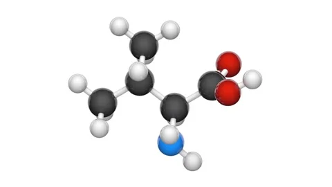 Valine. Seamless loop. White background. Stock Footage 152765303