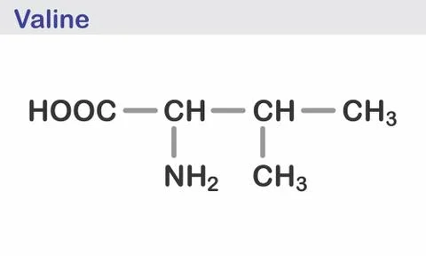 Valine skeletal formula Stock Illustration