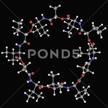 Valinomycin molecule Stock Illustration