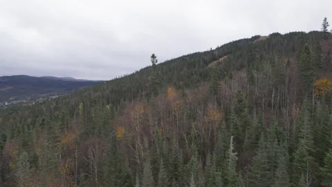 Valinouet 04 Stock Footage 254506500