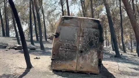 Vall d'Uixò fire causes damage in La Vilavella (Castellón), Vall d'Uixó (Castell Stock Footage 340646131