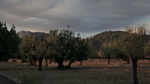 Valldemossa provincial town Stock Footage 82584929