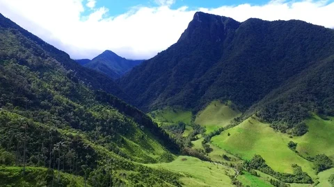 VALLE COCORA QUINDIO Vidéo 126556459
